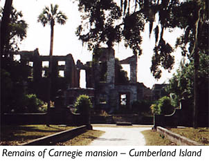 carnegie mansion remains