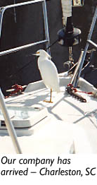 Snowy Egret on bow